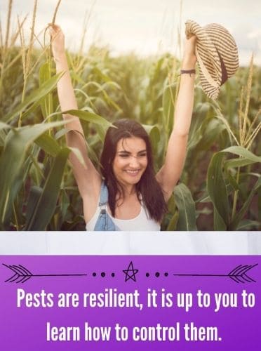  Pests are resilient, it is up to you to learn how to control them.